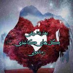 دانلود رمان گل های کاغذی به صورت pdf کامل از بهاره شریفی 1 دانلود رمان گل های کاغذی به صورت pdf کامل از بهاره شریفی