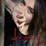 دانلود رمان دختر شمالی به صورت pdf کامل از لیلین 3 دانلود رمان دختر شمالی به صورت pdf کامل از لیلین